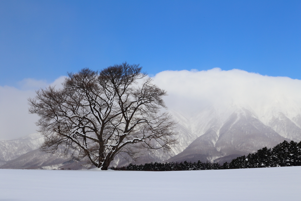 雪雲ベレー帽 - 岩手山