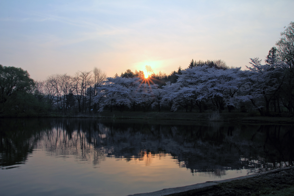 水鏡 - 高松の池4（芝水園）