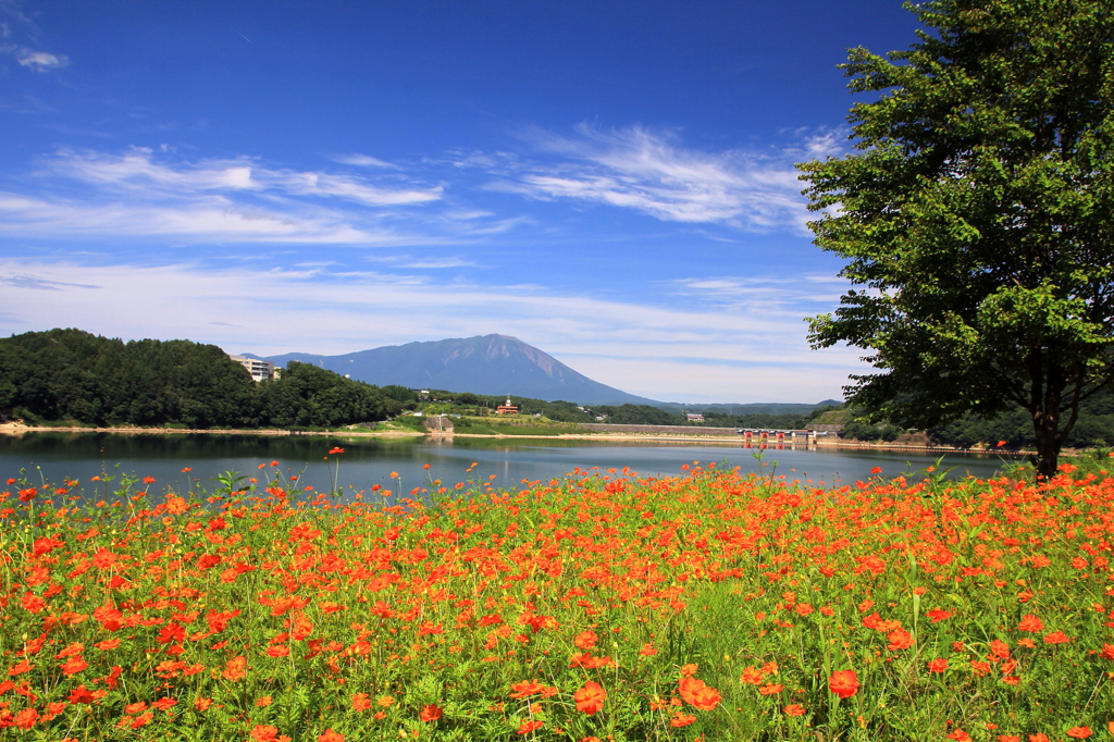 オレンジの湖畔