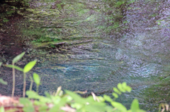 金澤清水3