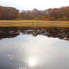 湯川沼