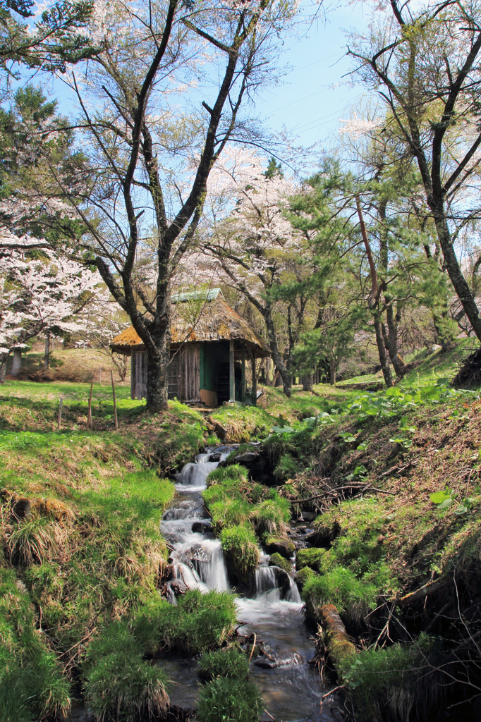 水車小屋の春