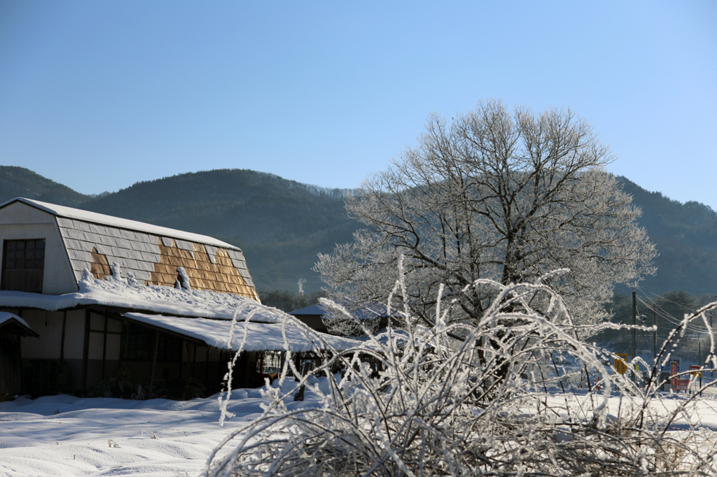 -10℃の朝 - 凍てつく