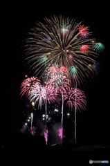 盛岡花火の祭典