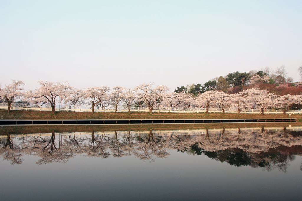 水鏡 - 高松の池5（芝水園）