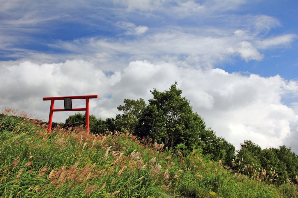 雲上の鳥居