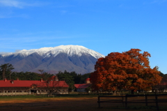 小岩井農場から岩手山1