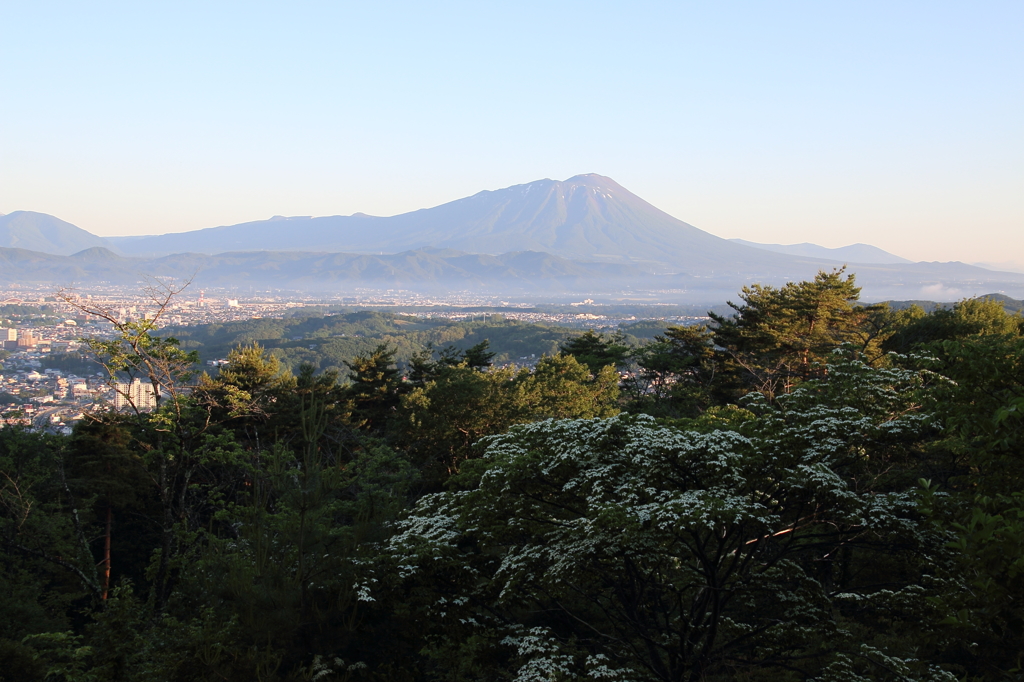 山法師と岩手山