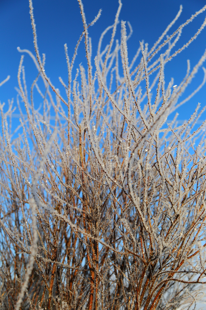 -10℃の朝 - 光耀3