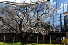 鏡舞台 - 岩大中央図書館