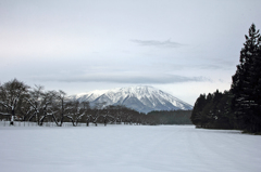 KOIWAI FARM - 鉛空