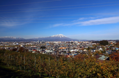 Morioka-shi - 電線