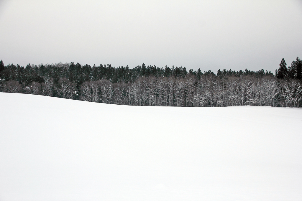 KOIWAI FARM - 鉛空5