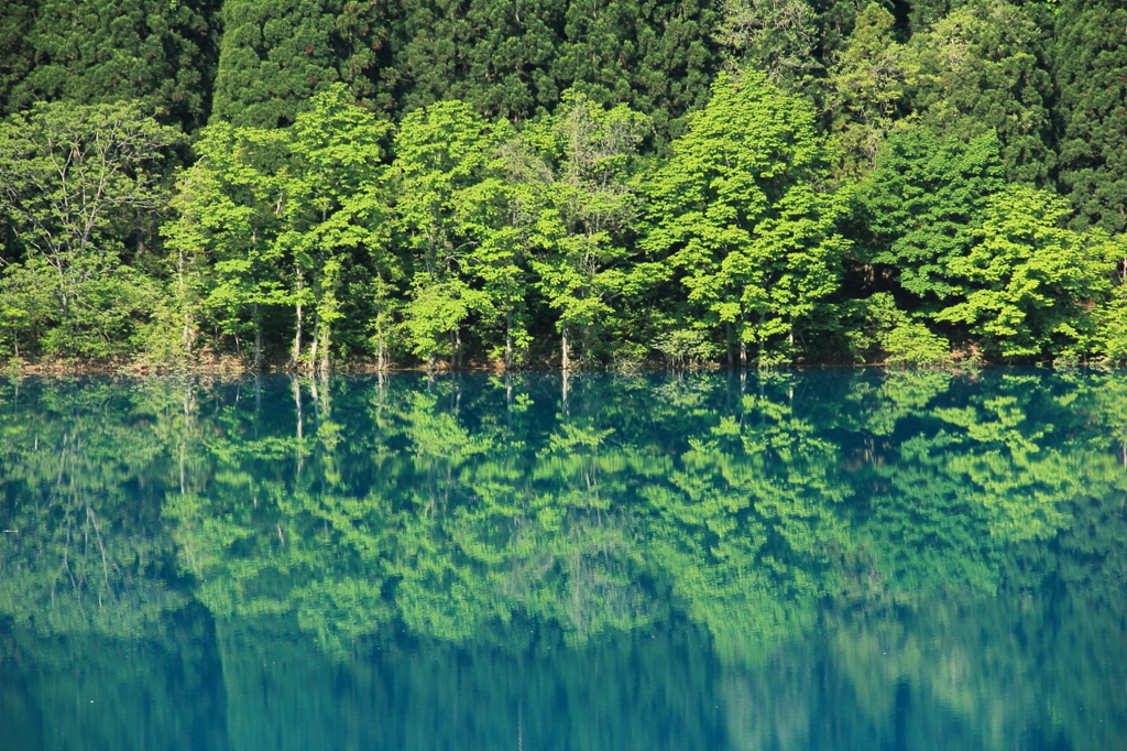 エメラルドの水鏡