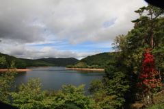 Red Tree （蔦漆） - 岩洞湖