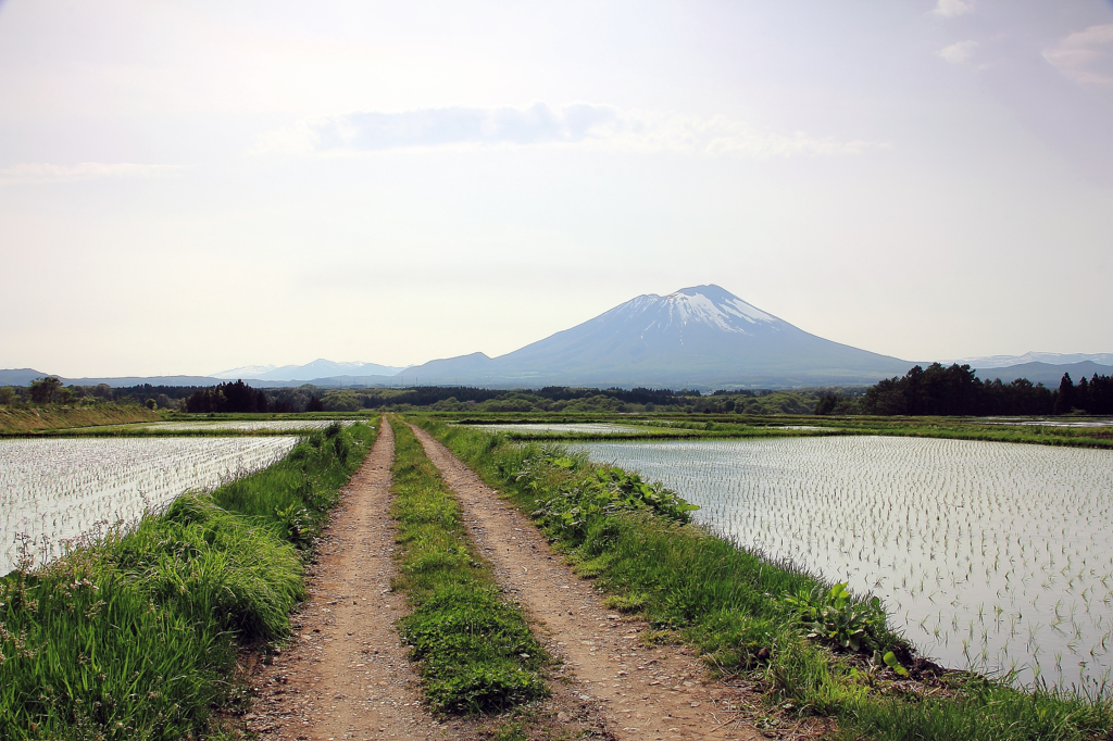 豊穣への道 - 岩手山