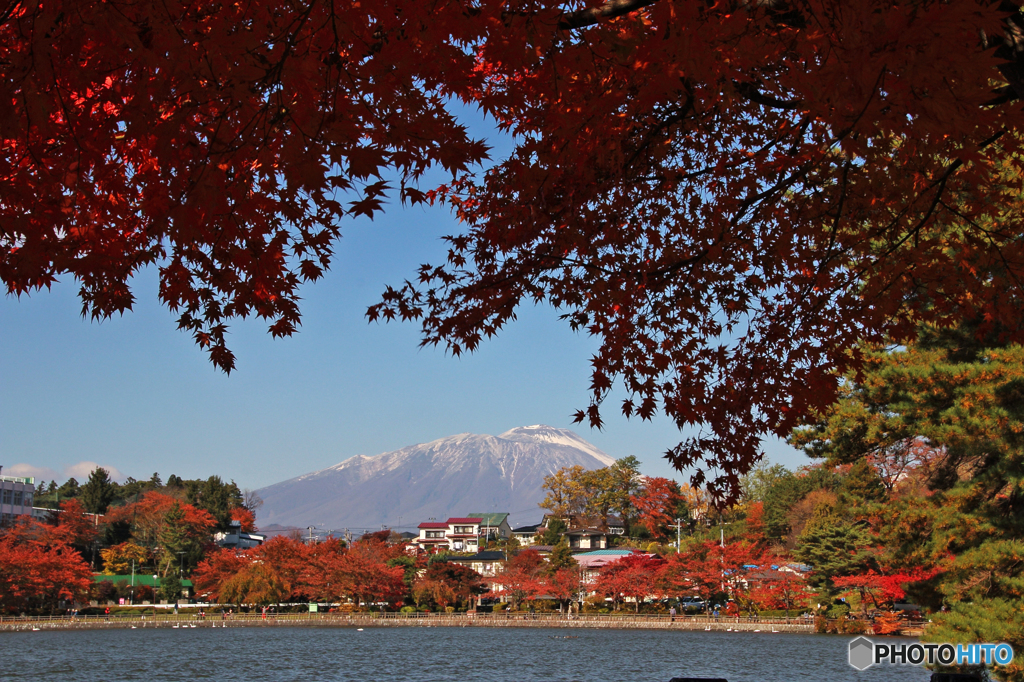 里の彩 - 高松の池