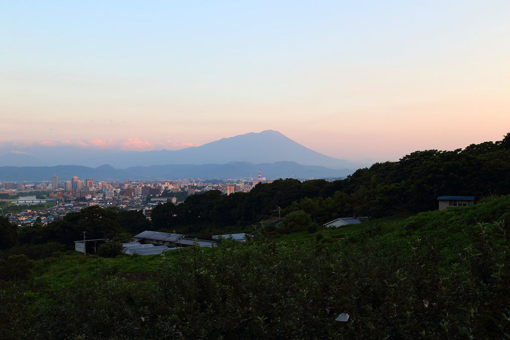 初夏