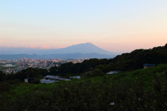 初夏