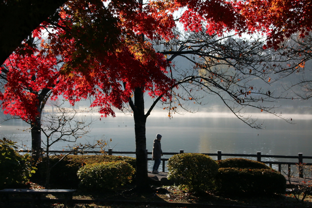 紅葉散歩Ⅲ