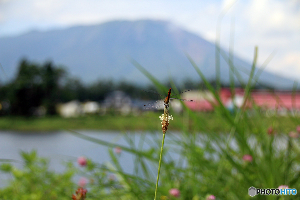 夏の終わり - Ⅱ