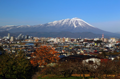 Morioka-shi - 柿の木坂