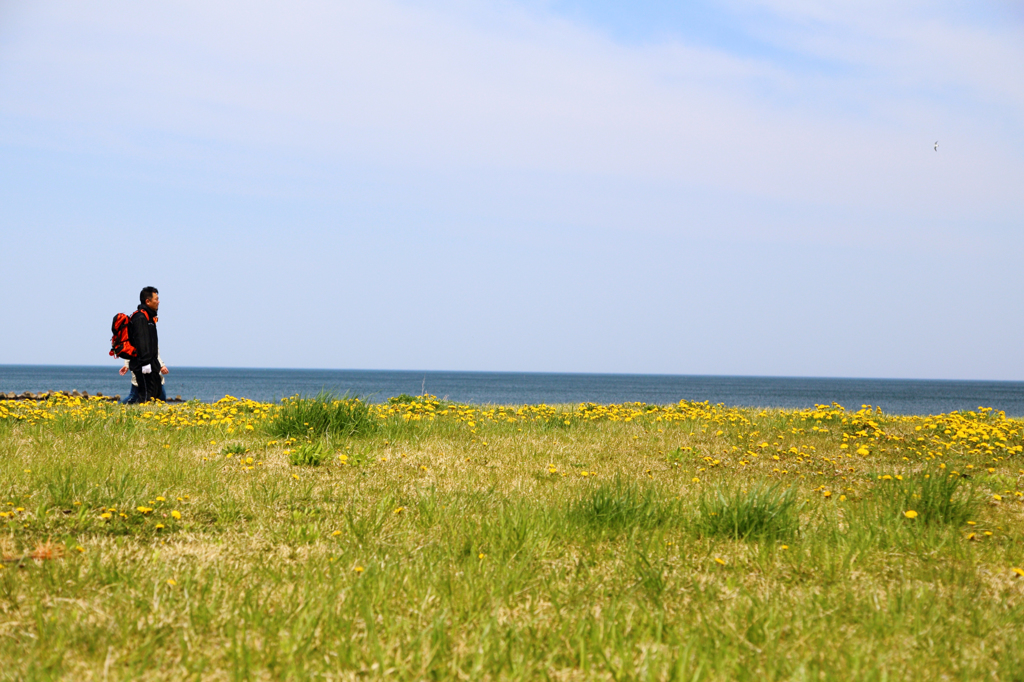 八戸市 白浜海岸Ⅱ