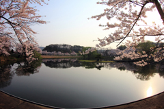 水鏡 - 高松の池（芝水園）