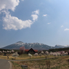 みちのく桜 - 八幡平県民の森
