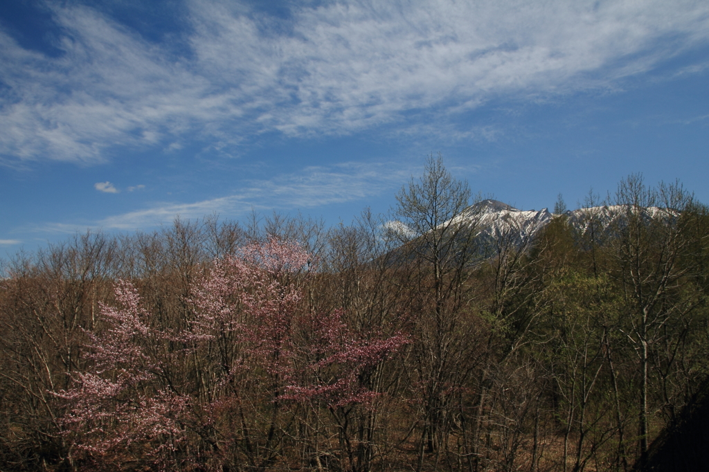 雪どけ - 裏岩手山