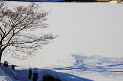 Shadow snow Ⅱ