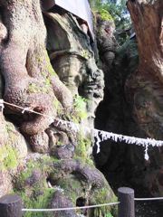 2012.3.31来宮神社、樹齢２０００年の御神木2