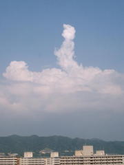 2008.7.22雲