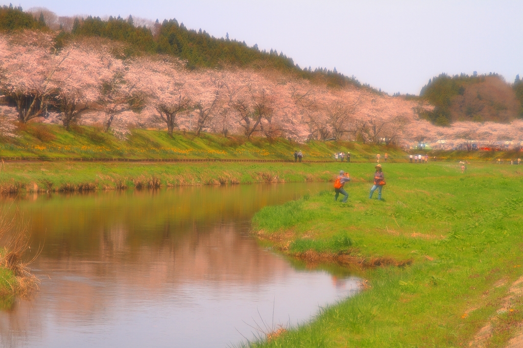 夏井川のひととき