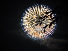うたかた花火