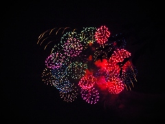 夜空の花束