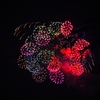 夜空の花束
