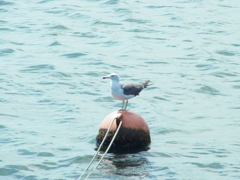 浮きます。