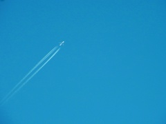 sky　blue 