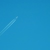 sky　blue 