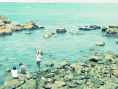 夏の家族