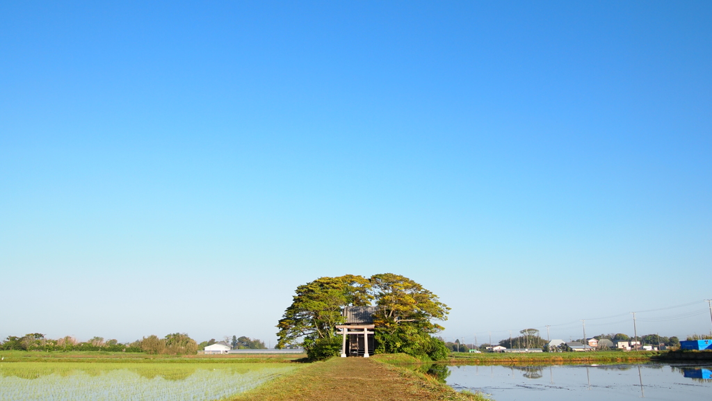 高天原と中つ国