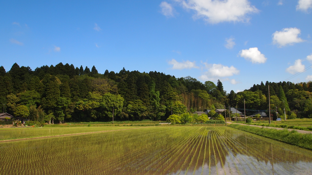 Early summer in Japan