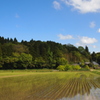 Early summer in Japan