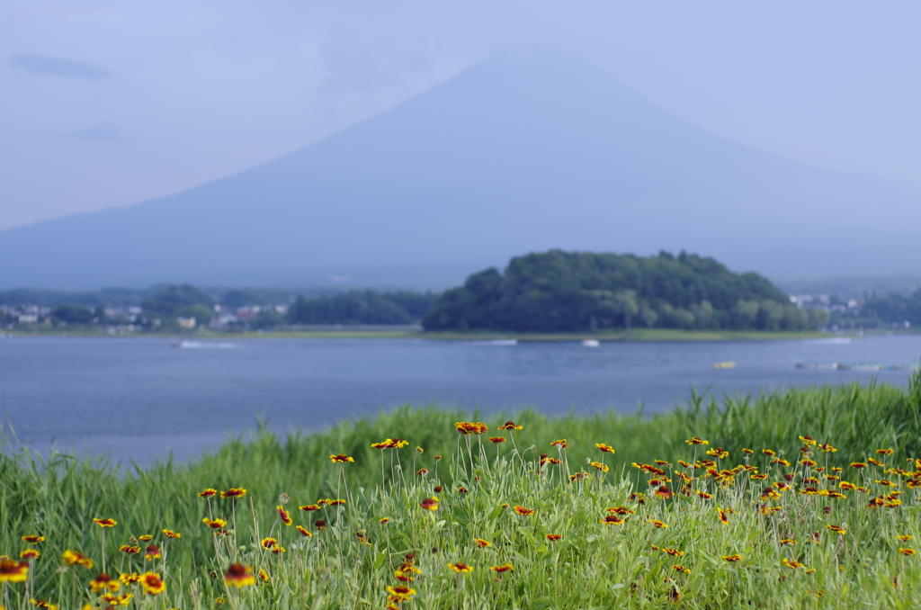 湖の畔で