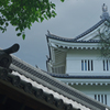 自信