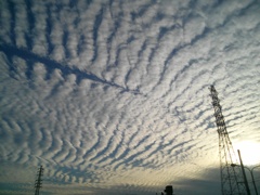 今日の空