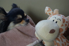 ねえねえ遊ぼうよ