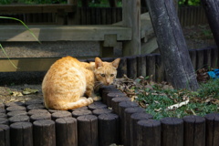 何見てんだよー