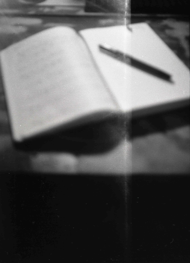 モレスキンとペリカン